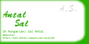 antal sal business card